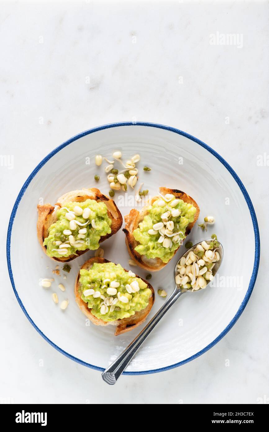 Avocado toasts with mung bean sprouts on a plate. Healthy vegan appetizer or snack. Top view copy space for text, grey cement background Stock Photo