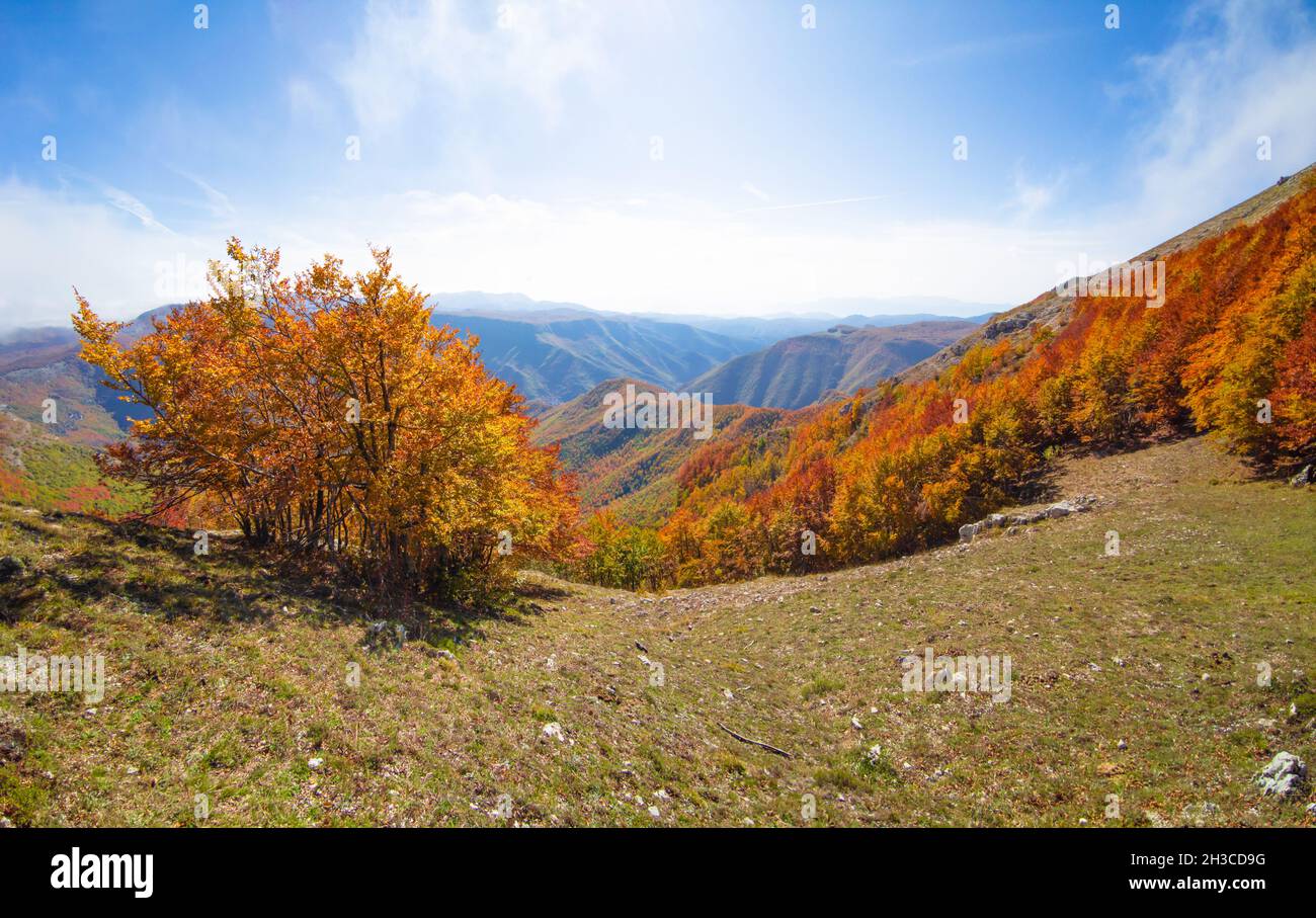 Monte Autore Mount Autore Livata (Subiaco, Italy) - Autumnal foliage in the ...