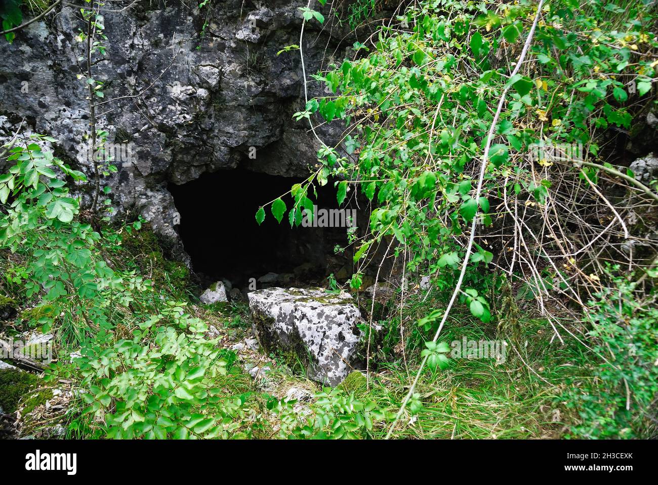 Lokvica (SLO) . In the caverns of the 'Dolina Oneglia', the Italian 4th Division (Brigate Acqui and Novara) had their headquarters. Stock Photo