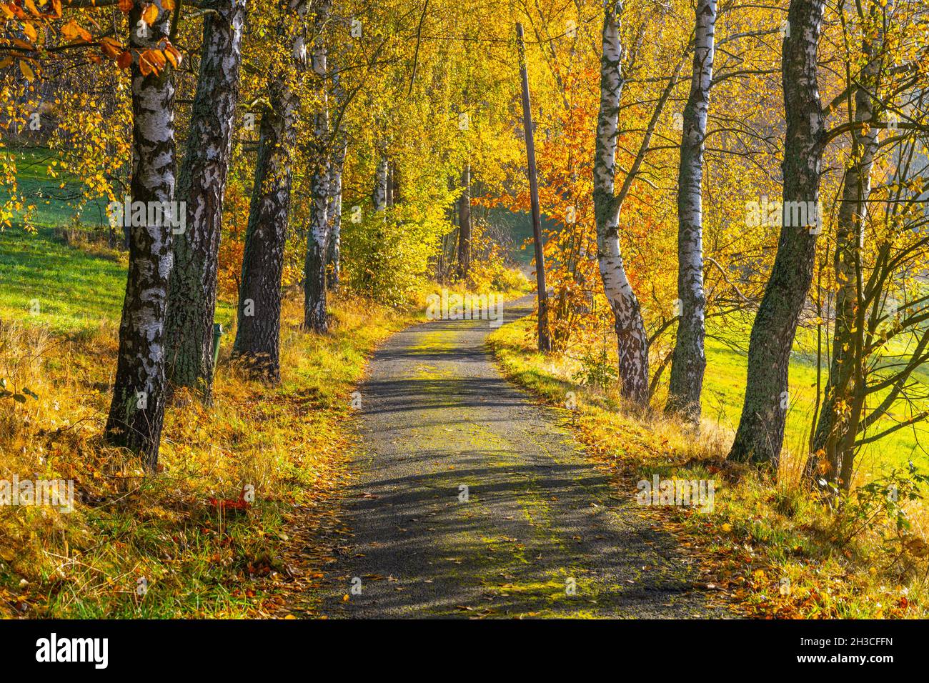 Driving on long narrow road hi-res stock photography and images - Alamy