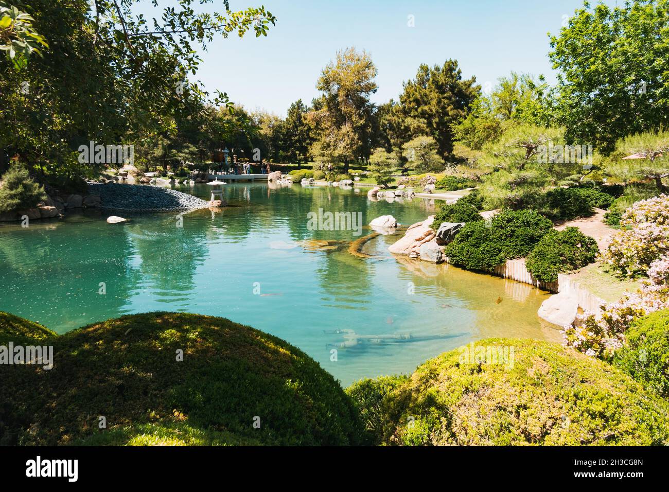 the main pond in the Japanese Friendship Garden of Phoenix, Arizona Stock Photo