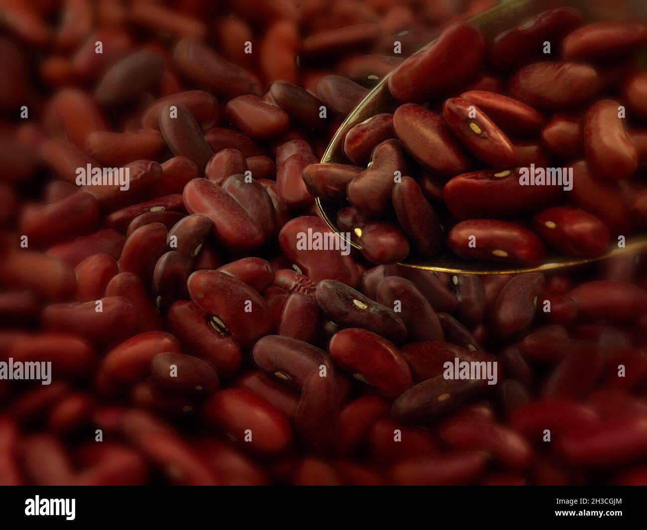 Red Kidney Beans, food ingredient still life Stock Photo Alamy