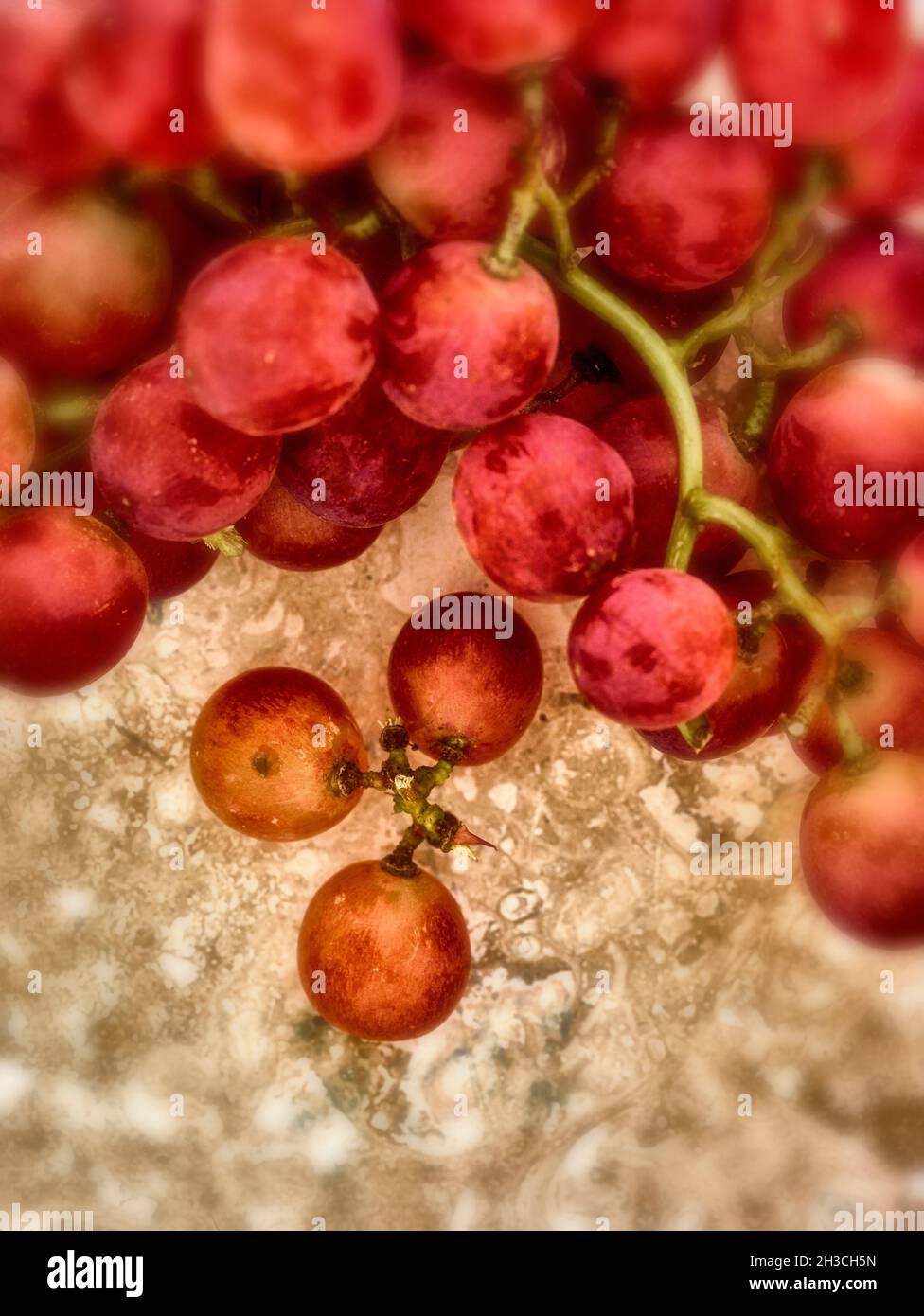Grapes, fruit still life Stock Photo Alamy