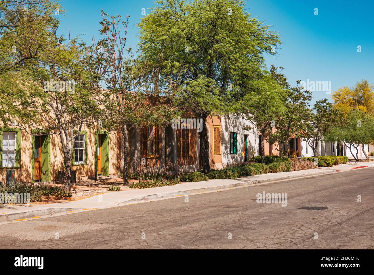 Trees shelter adobe homes from the blazing sun in Tucson's Barrio Viejo