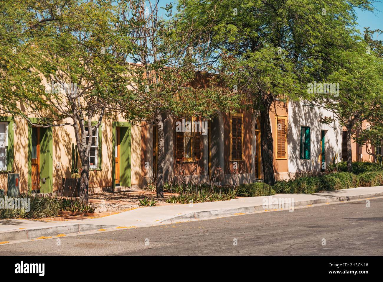 Trees shelter adobe homes from the blazing sun in Tucson's Barrio Viejo