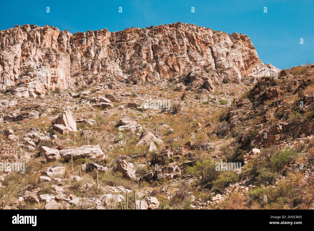 The barren, cactuspeppered landscape of Sabino Canyon on the outskirts