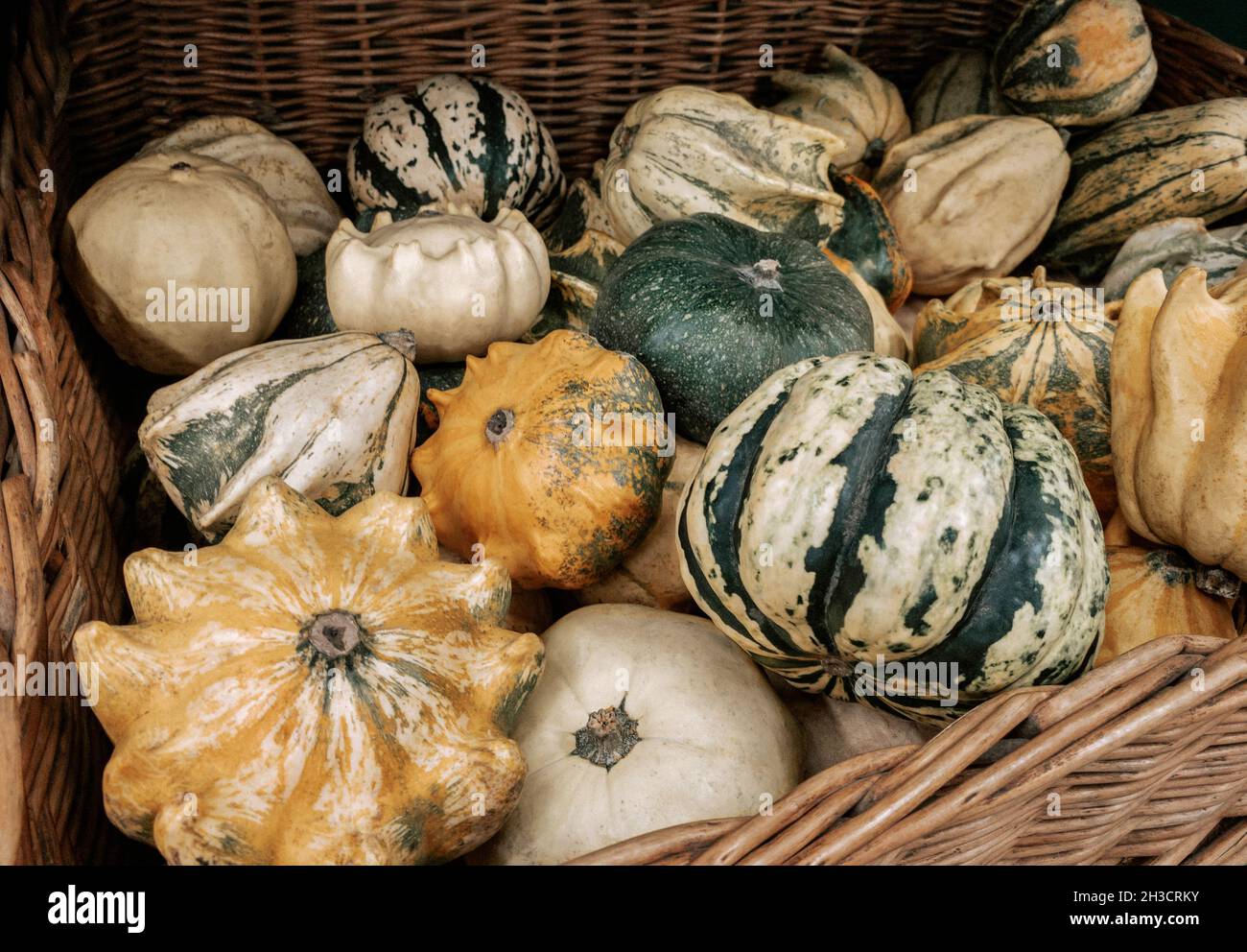 Autumn harvest of pumpkins on shop counter Stock Photo