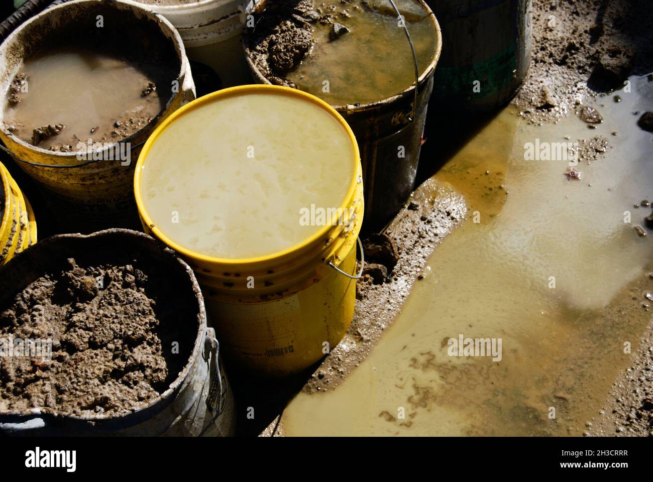 Contained motor oil and diesel fuel with contaminated soil in buckets