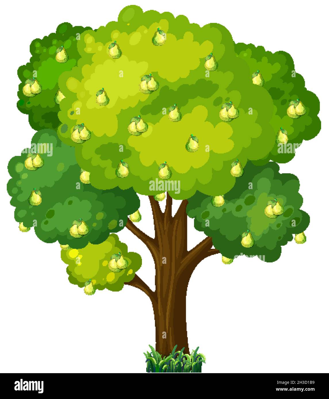 Pear fruit tree isolated on white background illustration Stock Vector ...