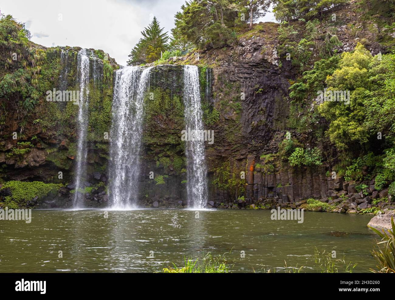 Whangarei waterfall. North island. New Zealand Stock Photo - Alamy