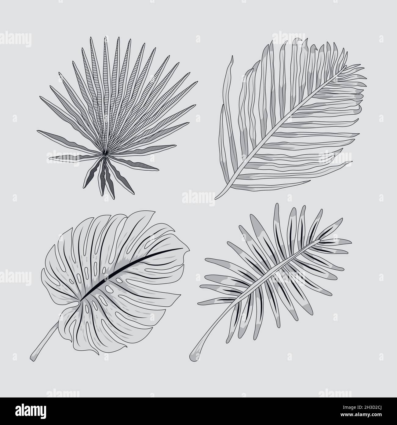 exotic tropical leafs nature icon Stock Vector Image & Art - Alamy