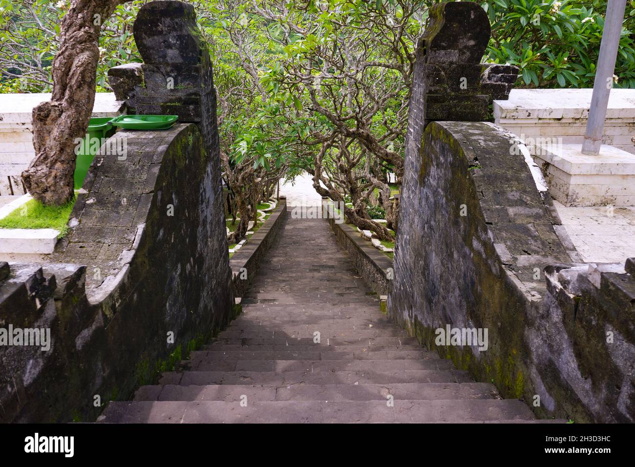 View of trees along ancient stone stairway at Uluwatu temple in Bali, Indonesia. No people. Stock Photo