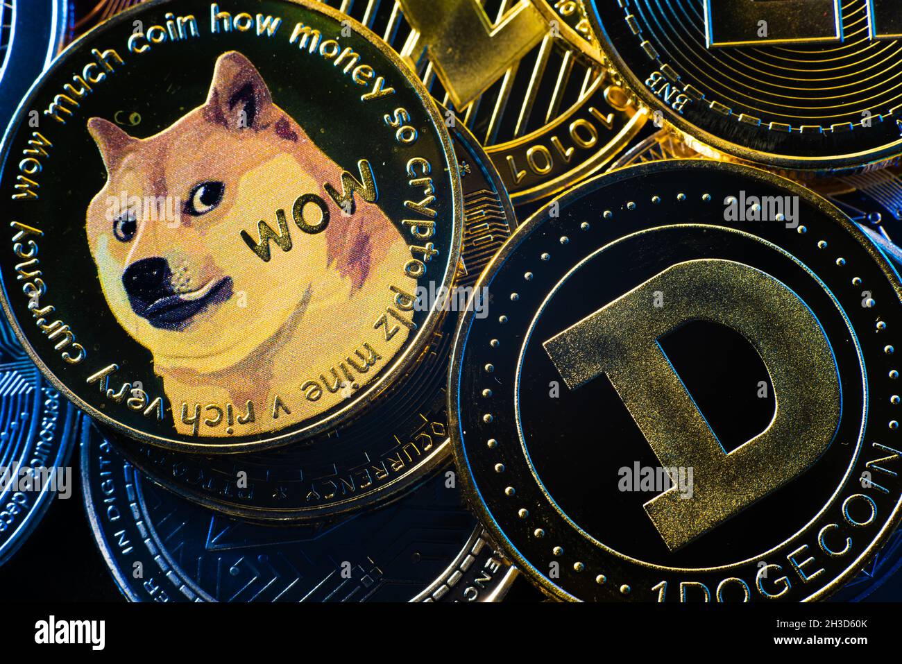 Dog coin hi-res stock photography and images - Alamy
