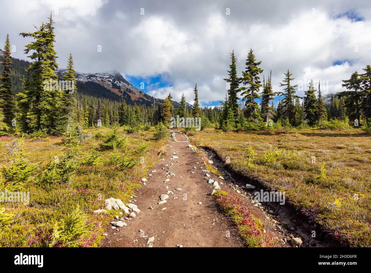 Hiking trail outdoors in Canadian nature Stock Photo - Alamy