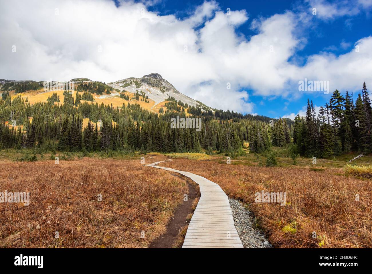 Hiking trail outdoors in Canadian nature Stock Photo - Alamy