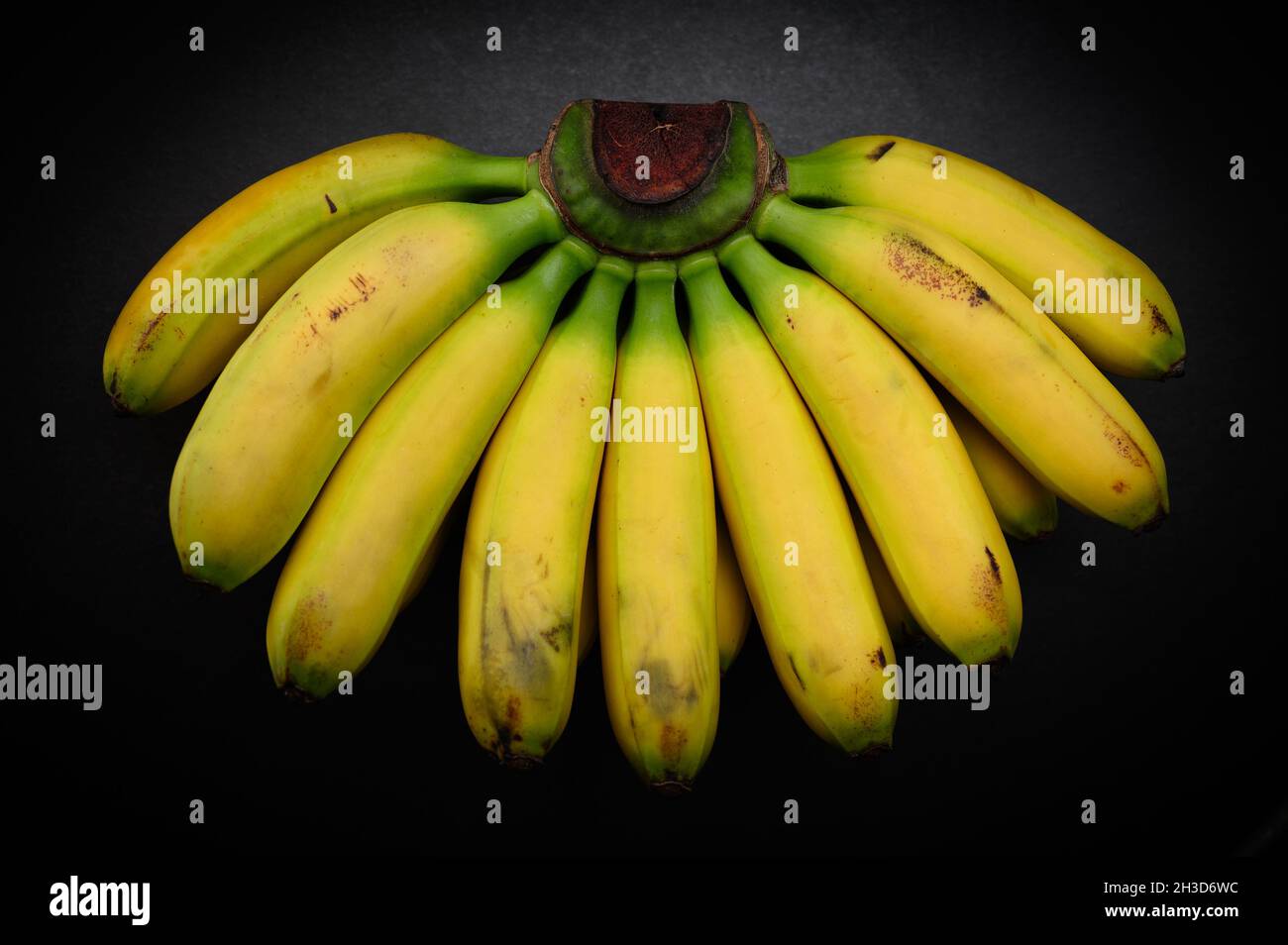 Ripe and natural looking small bananas on dark background Stock Photo ...