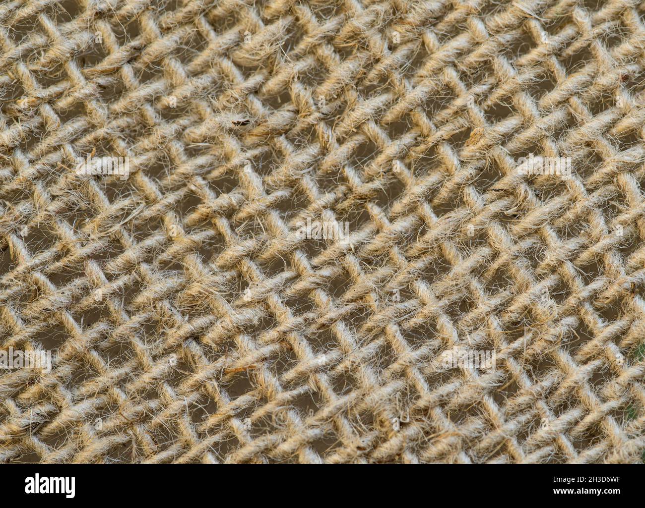 Cloth texture background. Macro with shallow depth of field Stock Photo ...