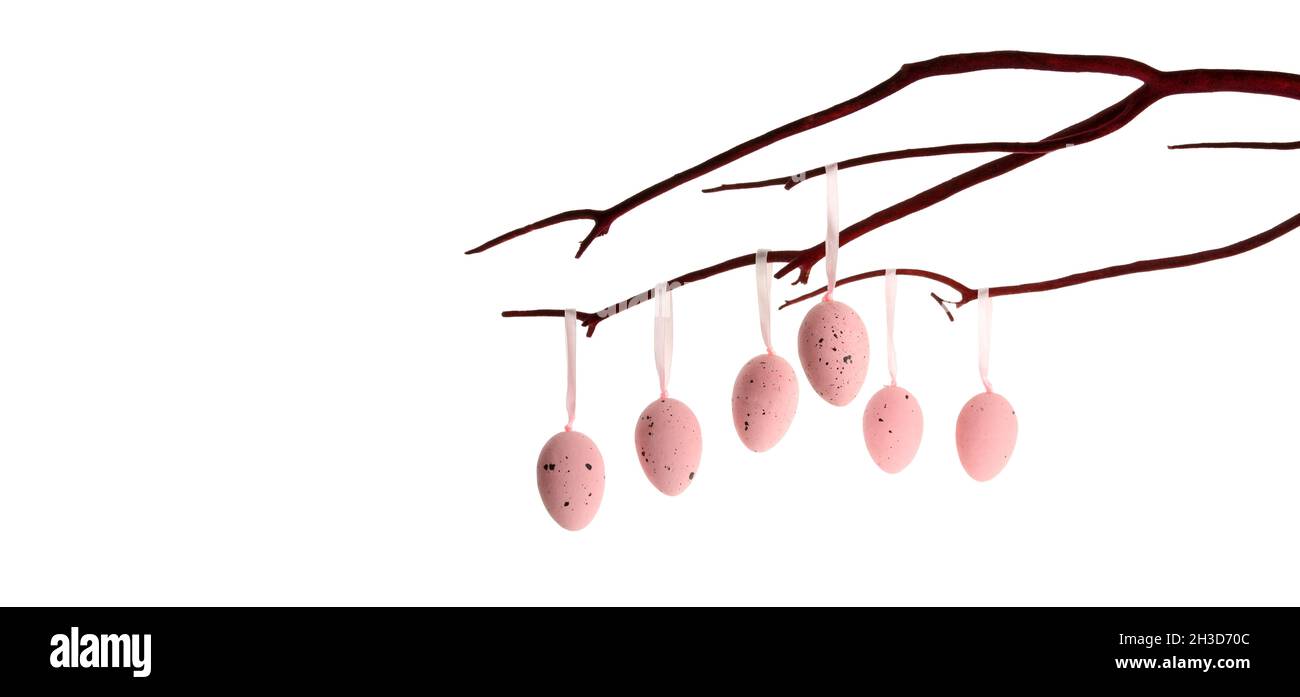 Easter eggs hanging on a branch white background Stock Photo - Alamy