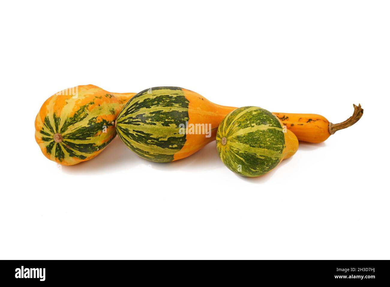 Three yellow and green crookneck gourds on white background Stock Photo