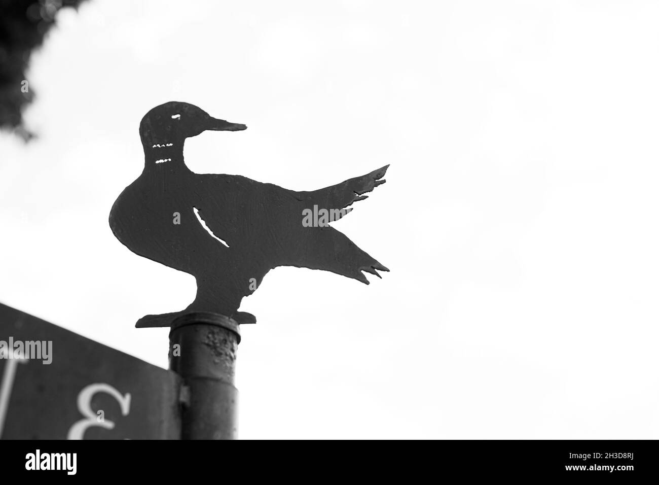 Weather Wind Weathervane High Resolution Stock Photography and Images