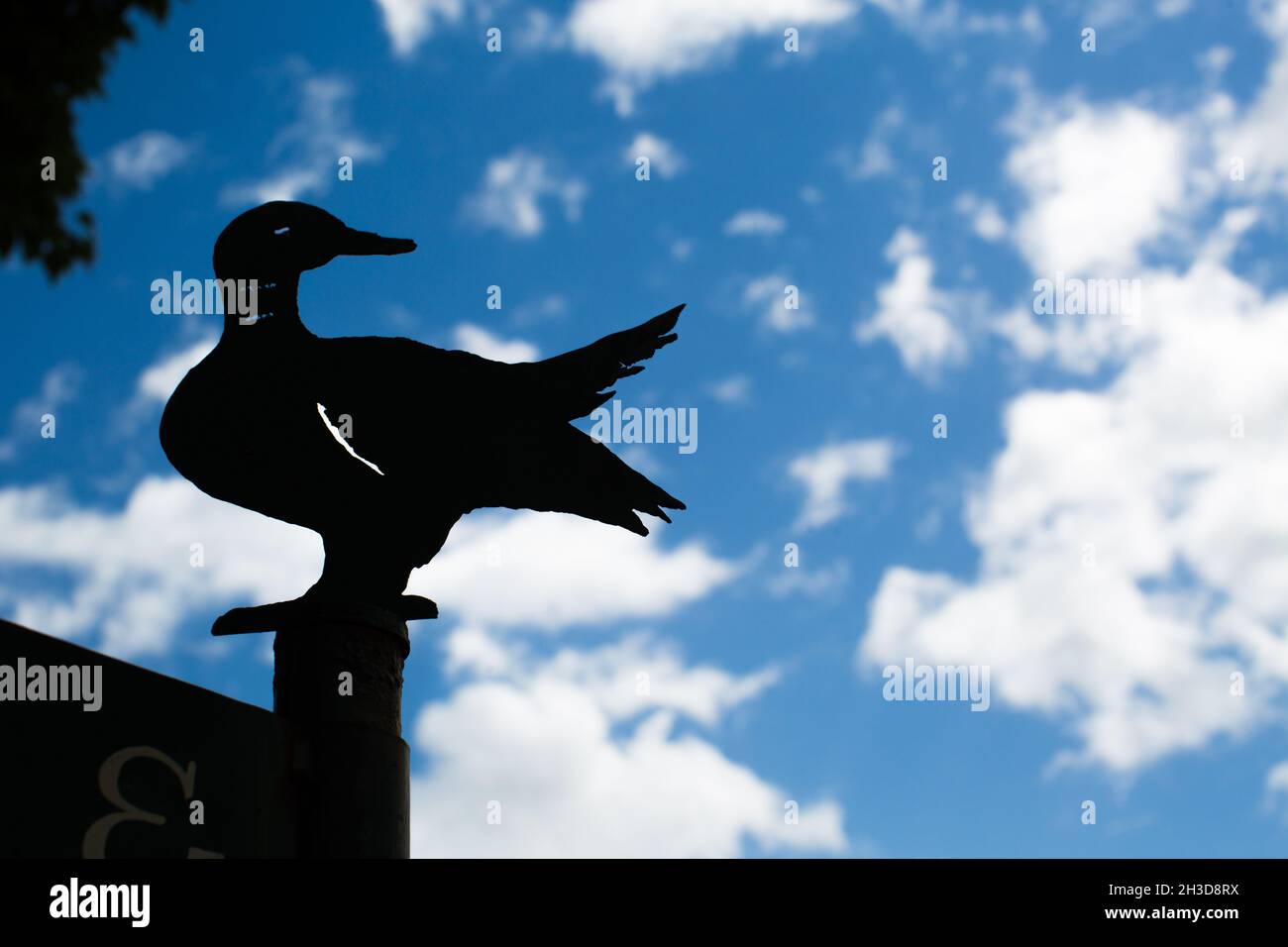 Duck weather vane at The Lake House, Daylesford, Australia Stock Photo