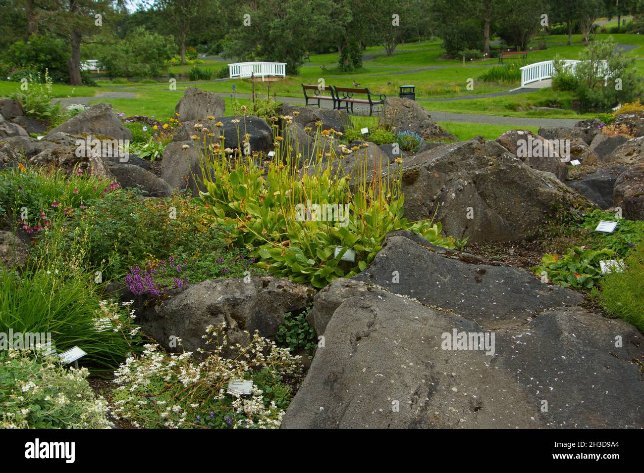 Botanical garden in Reykjavik, Iceland, Europe Stock Photo