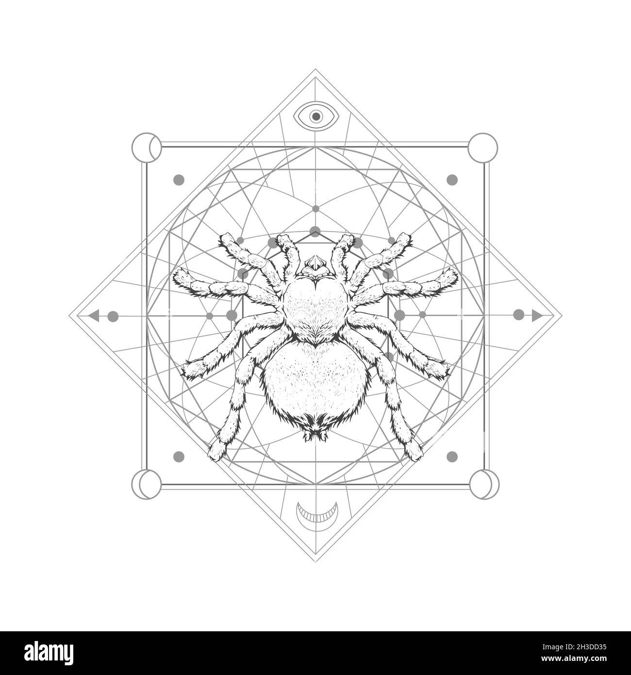 Vector illustration with hand drawn spider tarantula and Sacred geometric symbol on white background. Abstract mystic sign. Black linear shape. For yo Stock Vector