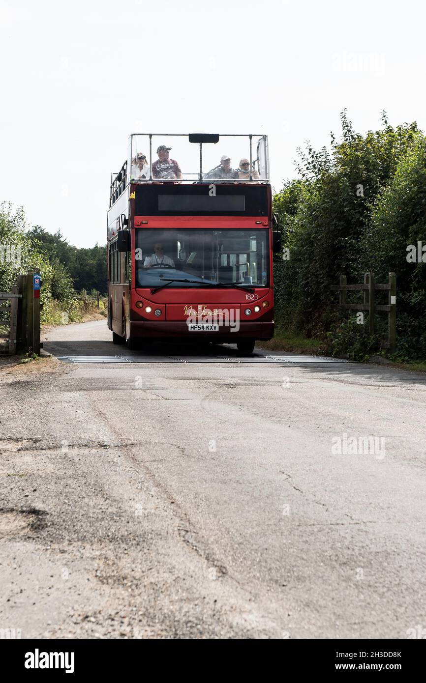 New forest tour bus Stock Photo