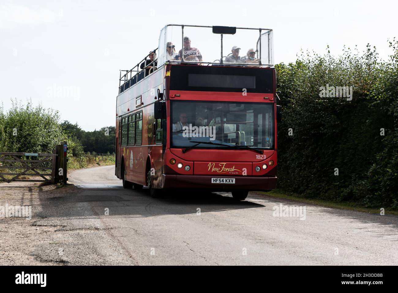 New forest tour bus Stock Photo