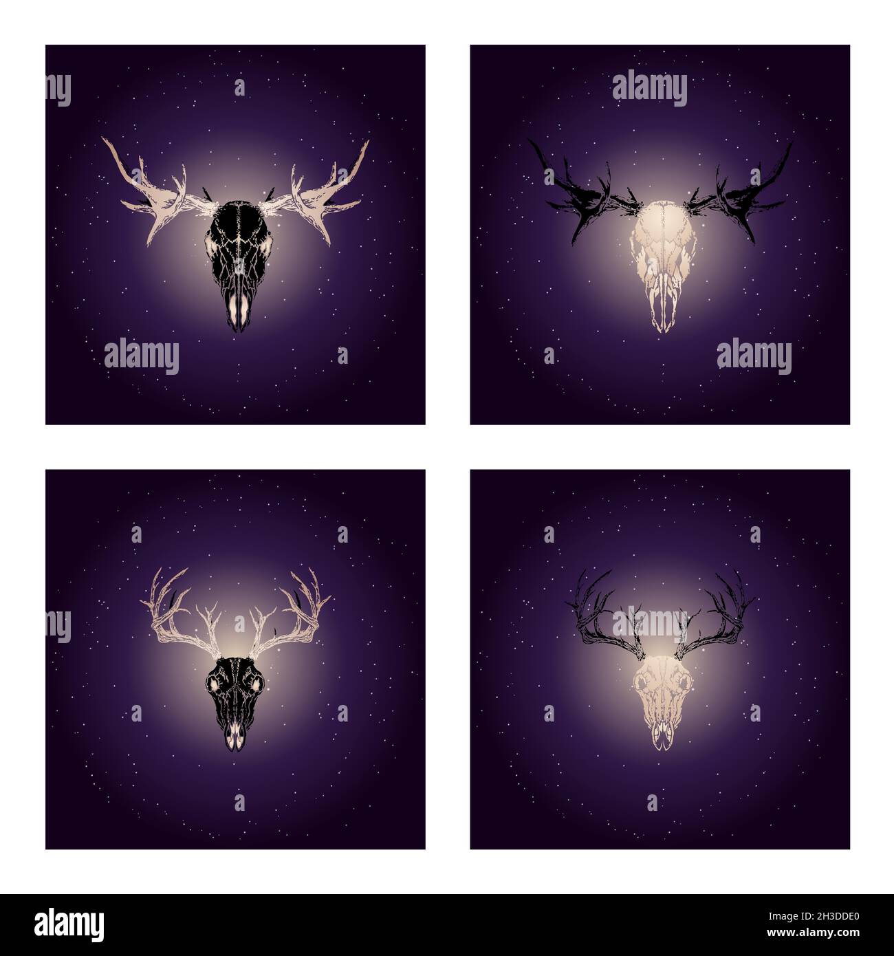 Vector set of four illustrations with hand drawn black skulls deer and ...