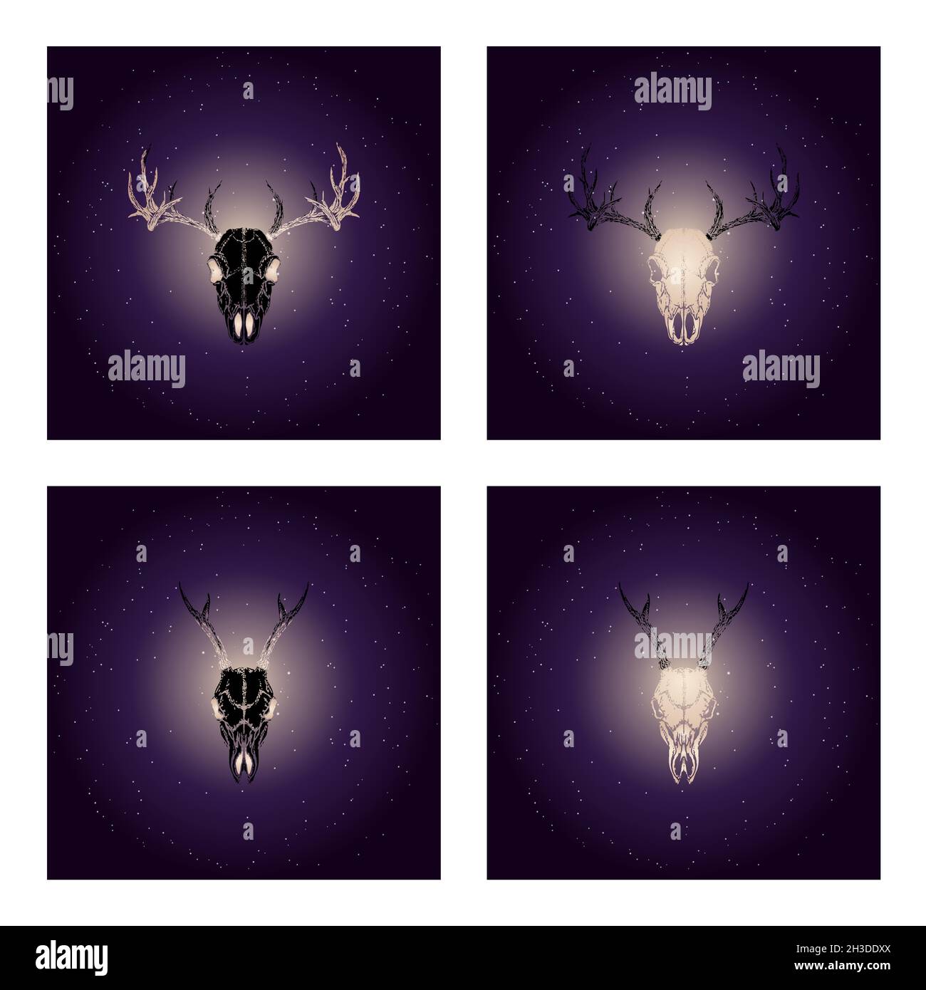 Vector set of four illustrations with hand drawn black skulls deer with ...