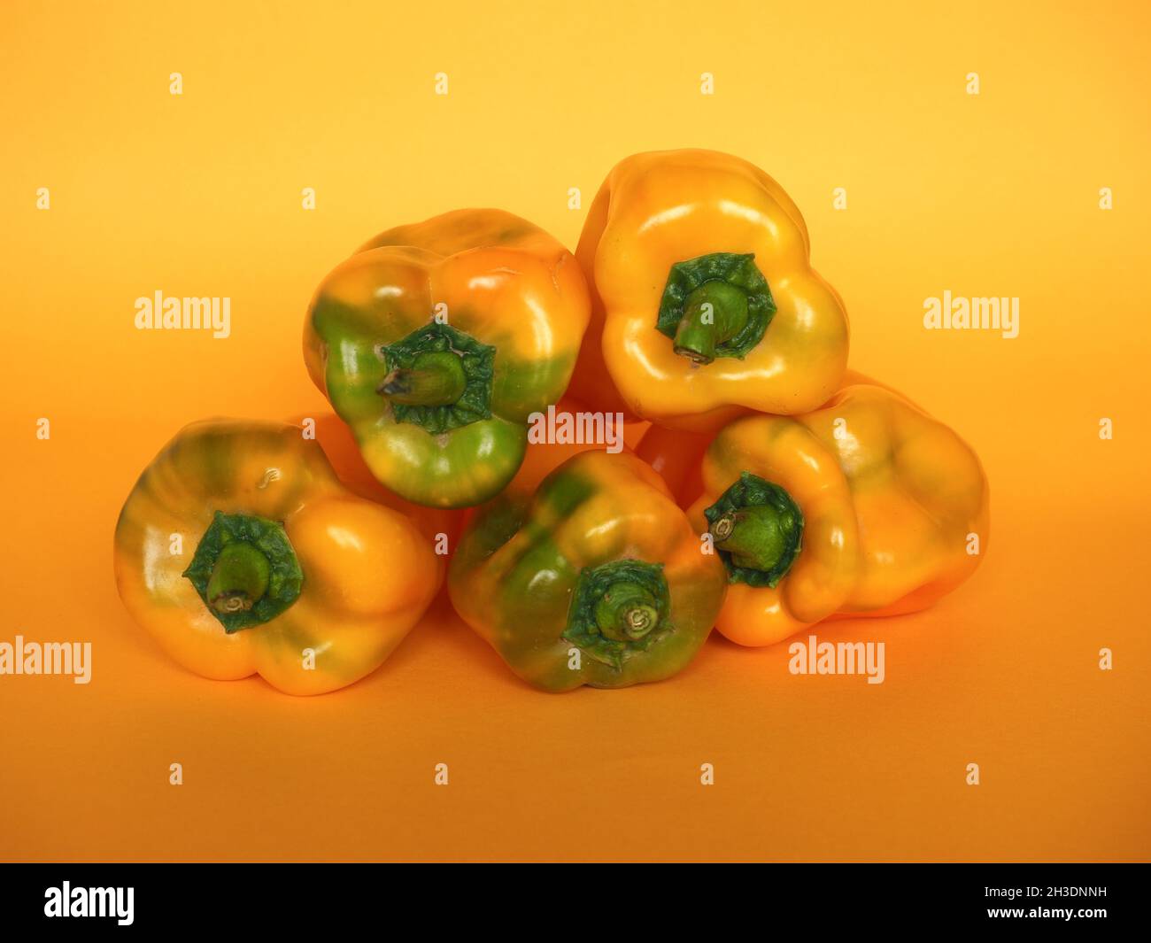 yellow peppers (scientific name Capsicum aka bell peppers) vegetables