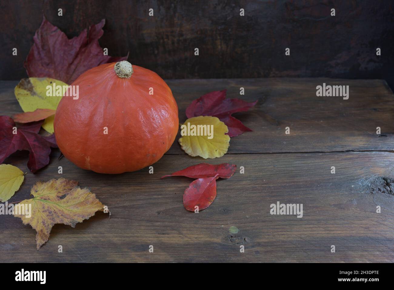 Pumpkin and autumn leaves on a wooden background with copy space Stock ...