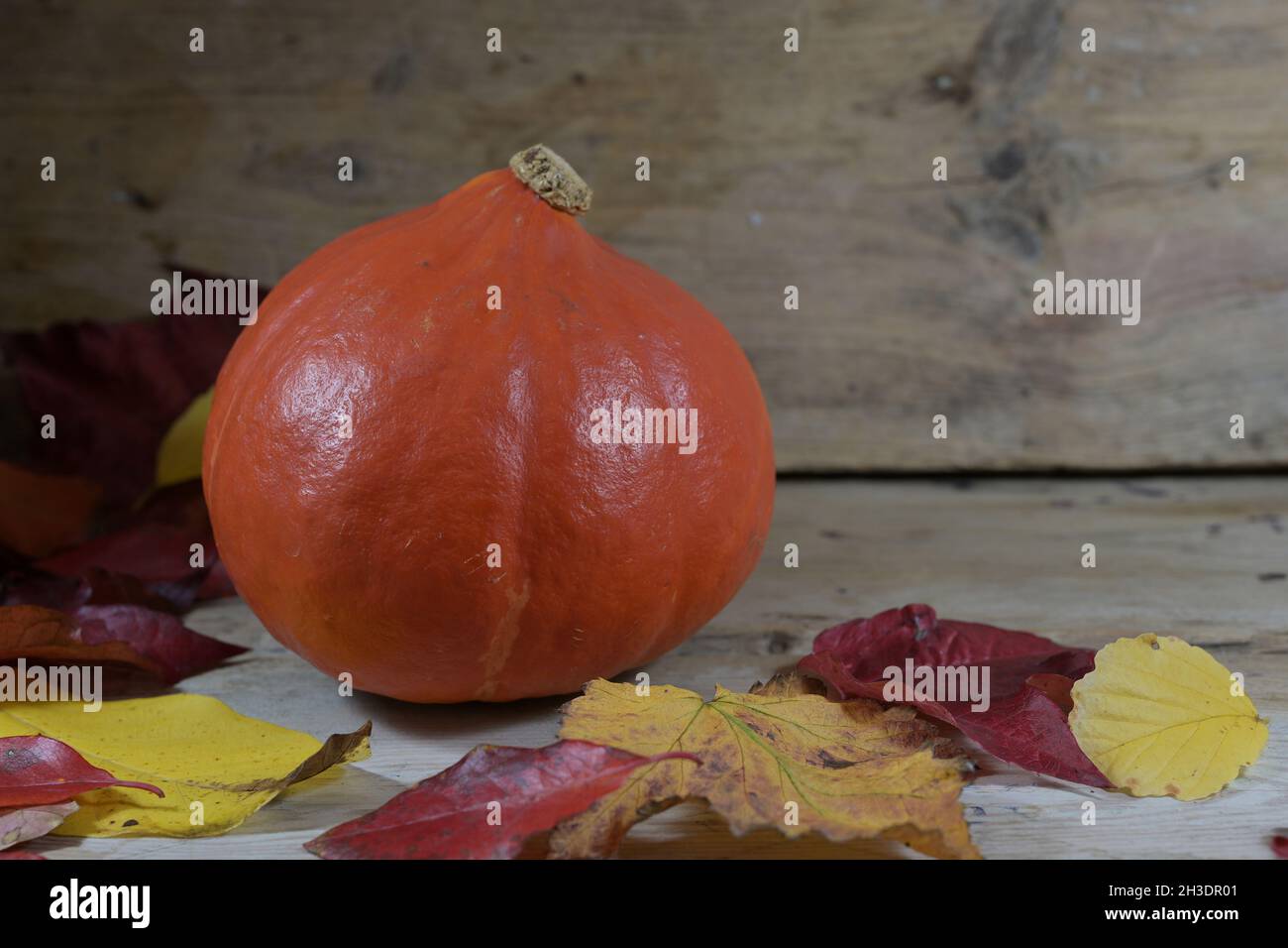 Pumpkin and autumn leaves on a wooden background Stock Photo - Alamy