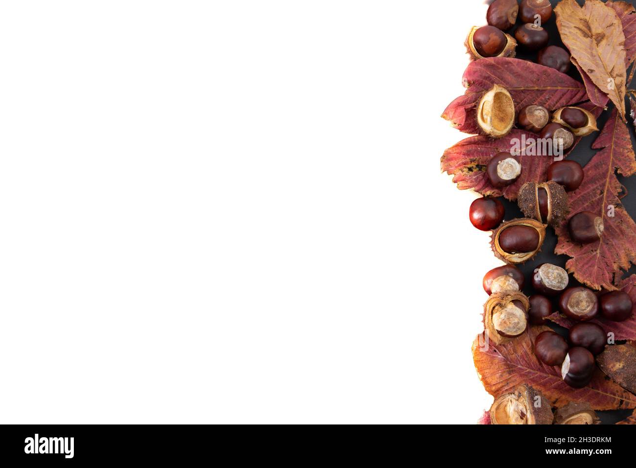 Oktober 2021. White autumn background with chestnuts. High quality photo. Isolated. Stock Photo