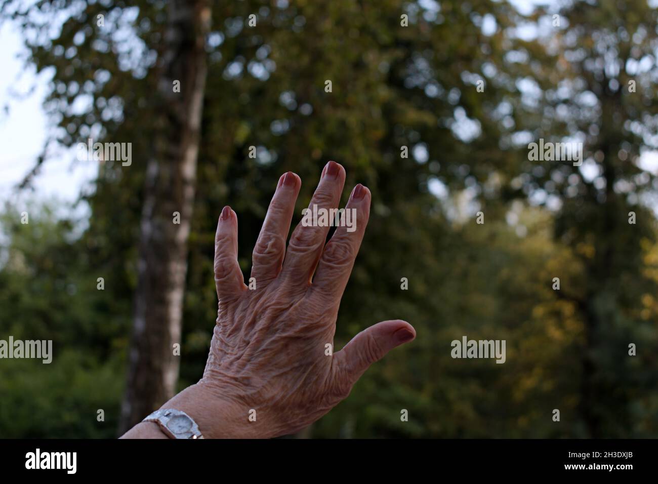 fingers of elderly woman hand with blurred foreground and background Stock Photo
