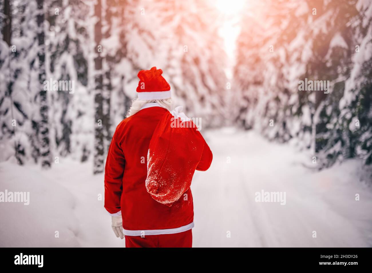 Santa Claus with sack of presents walking in the snowy winter forest Stock Photo