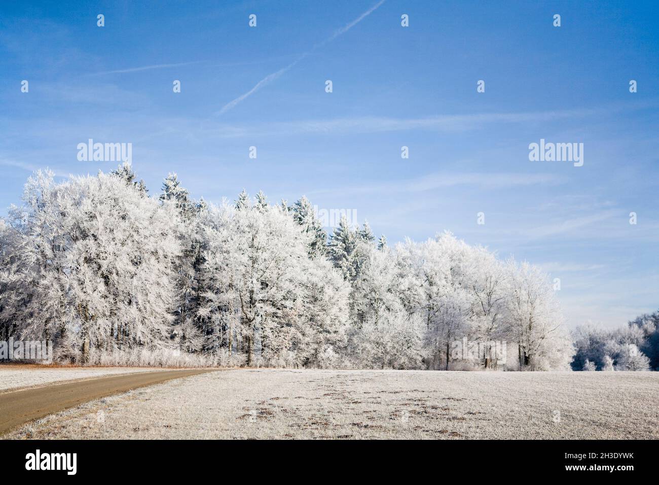 landscape with hoar frost, Germany Stock Photo