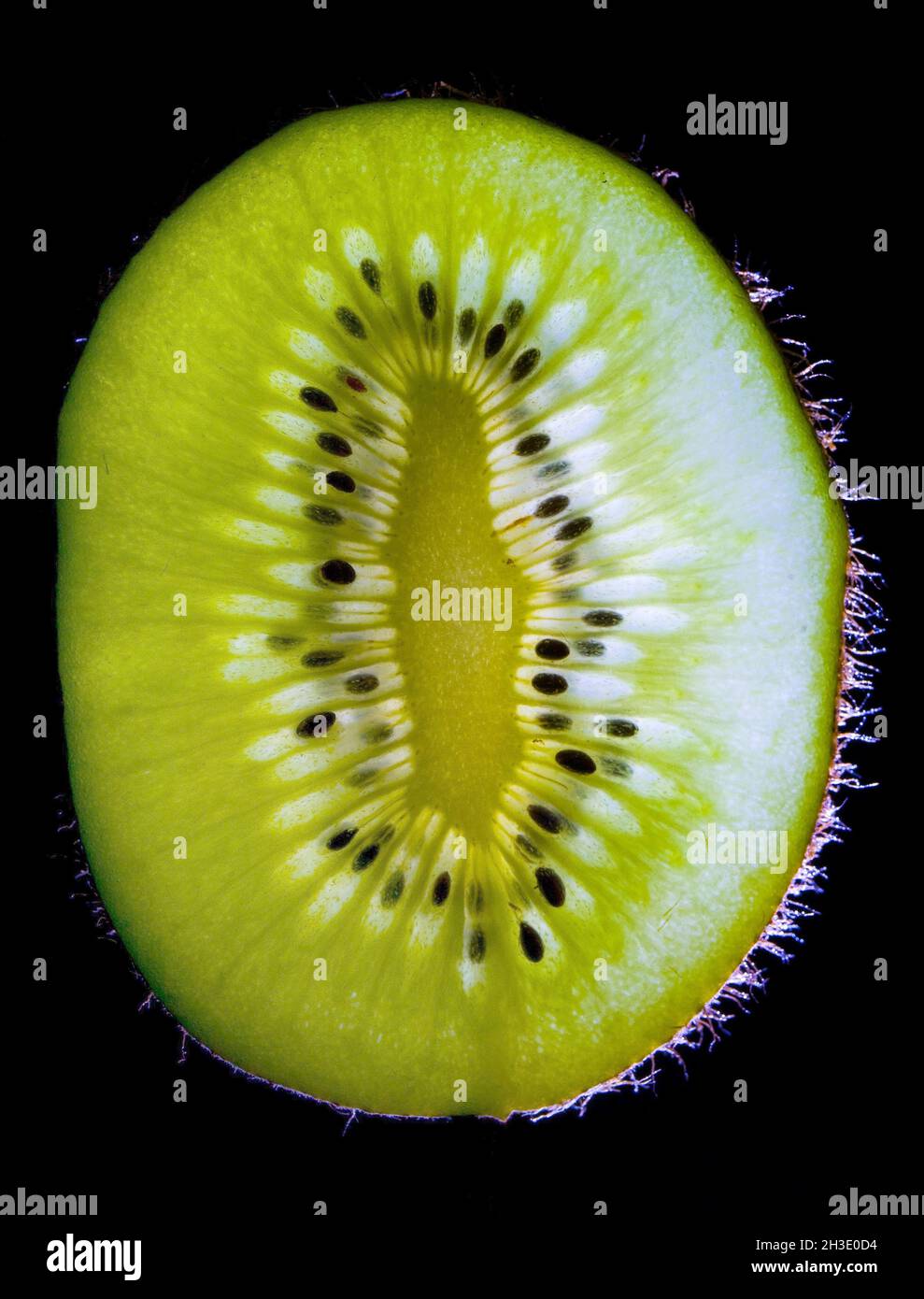 kiwi fruit, Chinese gooseberry (Actinidia deliciosa), kiwi slice in backlight, black background Stock Photo