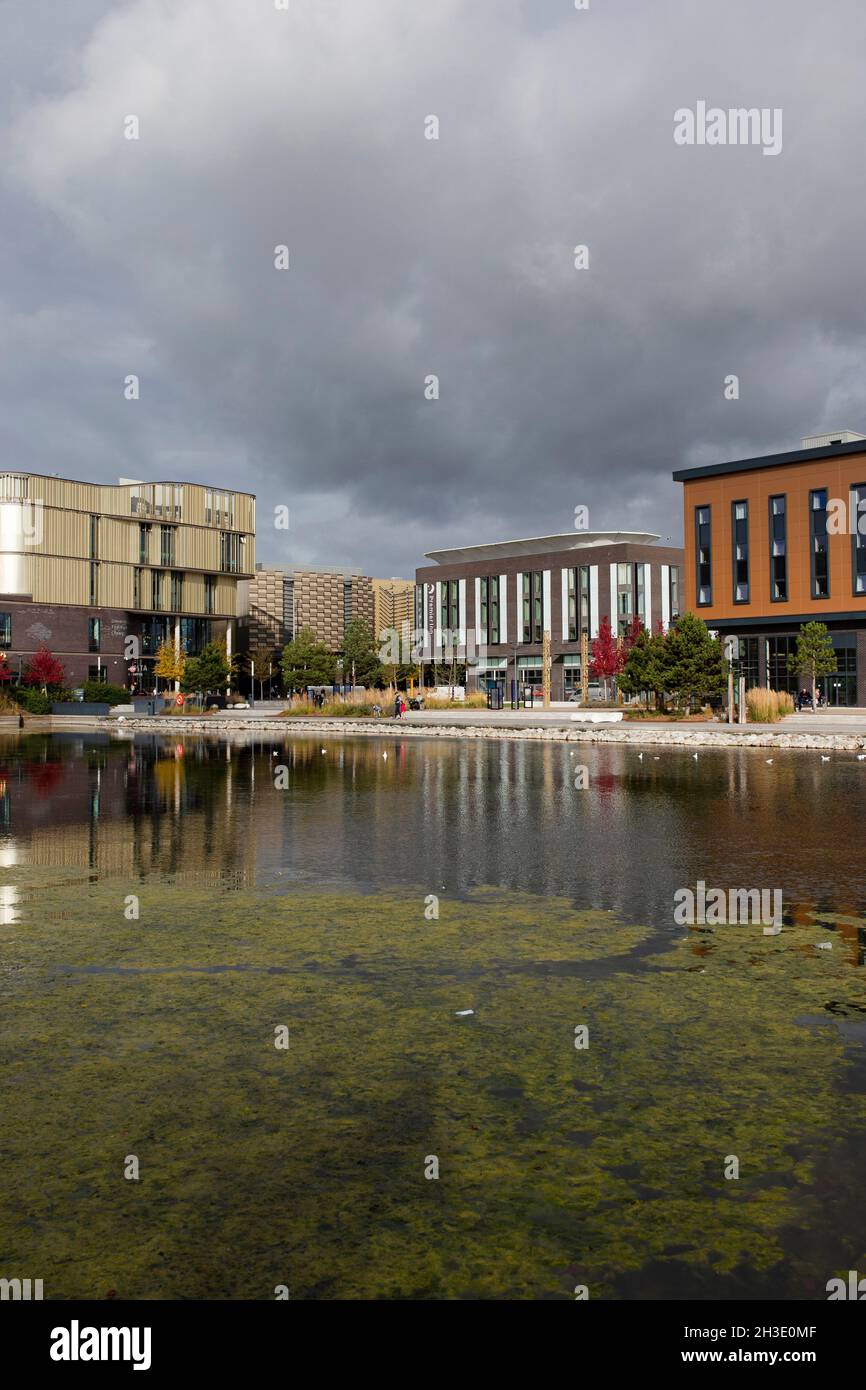 Southwater 1 hires stock photography and images Alamy
