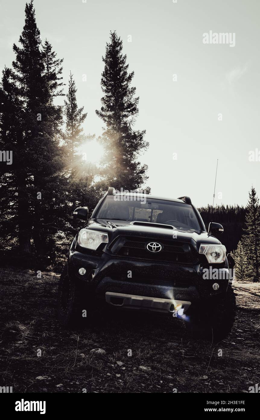CALGARY, CANADA - Oct 26, 2021: Toyota Tacoma parked on an off-road trail with forestry in the background. Stock Photo