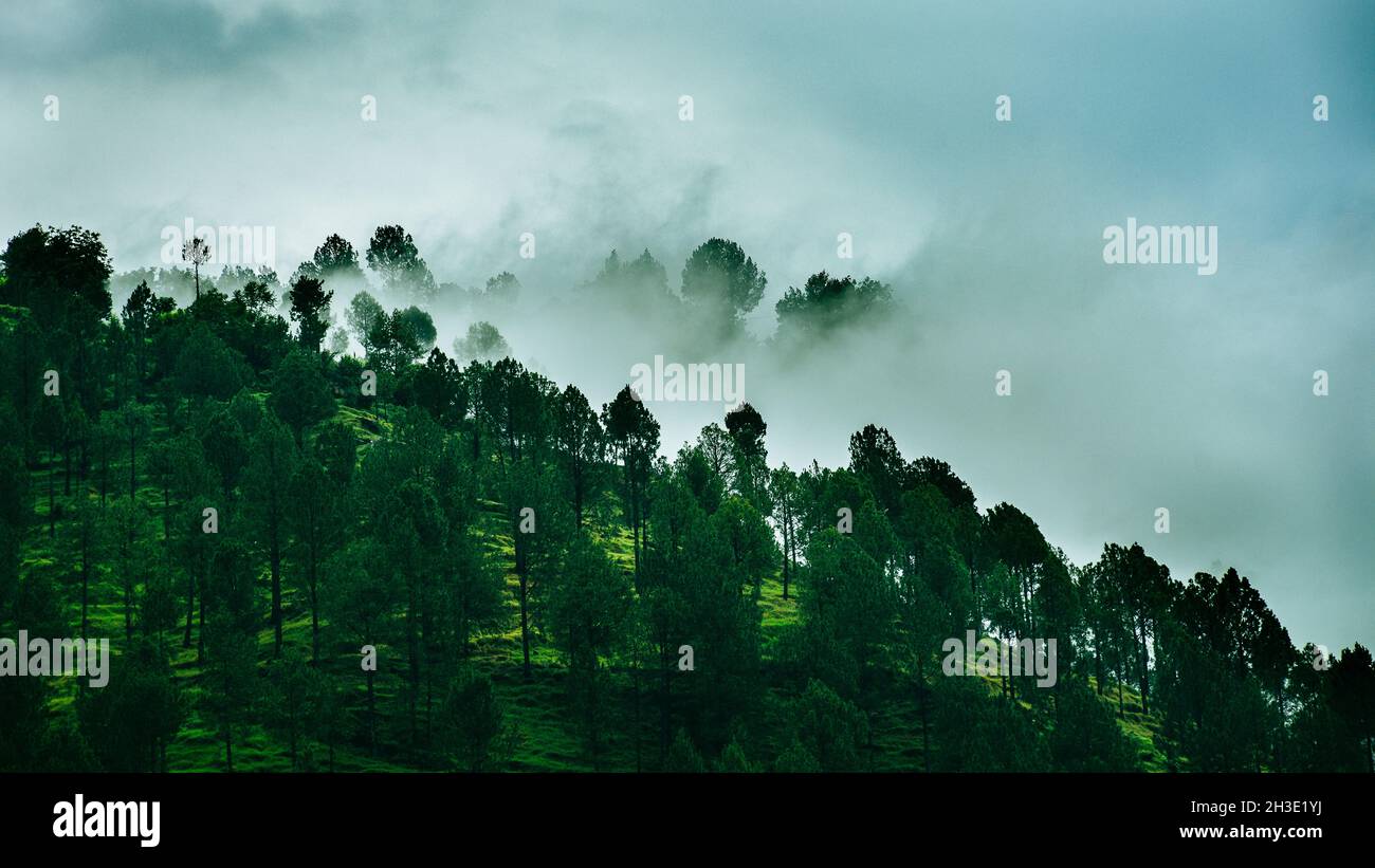 Mountains covered by fog hi-res stock photography and images - Alamy