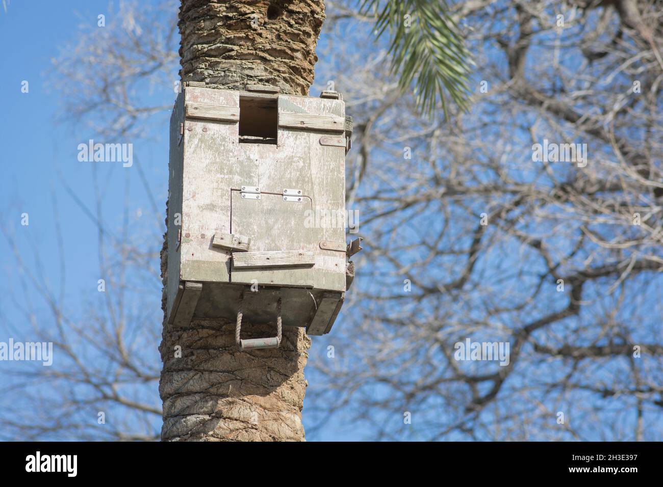 Man made palm tree hires stock photography and images Alamy