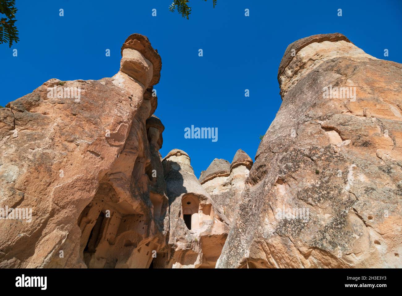 Peri bacasi hi-res stock photography and images - Alamy