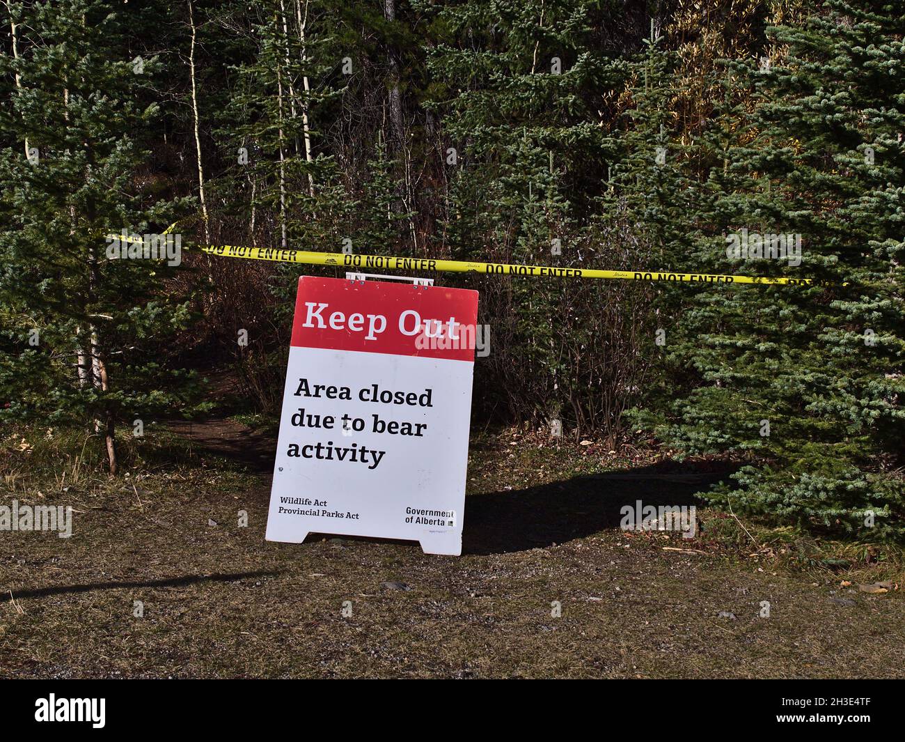 Warning sign (keep out) at Highway 40 in Kananaskis Country, Rocky Mountains. Area closed due to bear activity. Focus on top of sign. Stock Photo