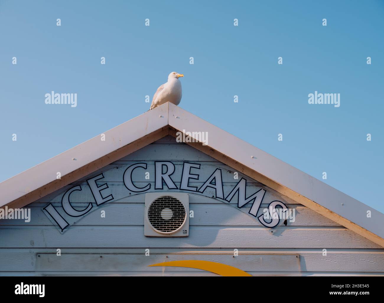 A seagull perched on top of an ice cream shack roof with blue sky at the British seaside - seaside summer - summertime ice cream Stock Photo