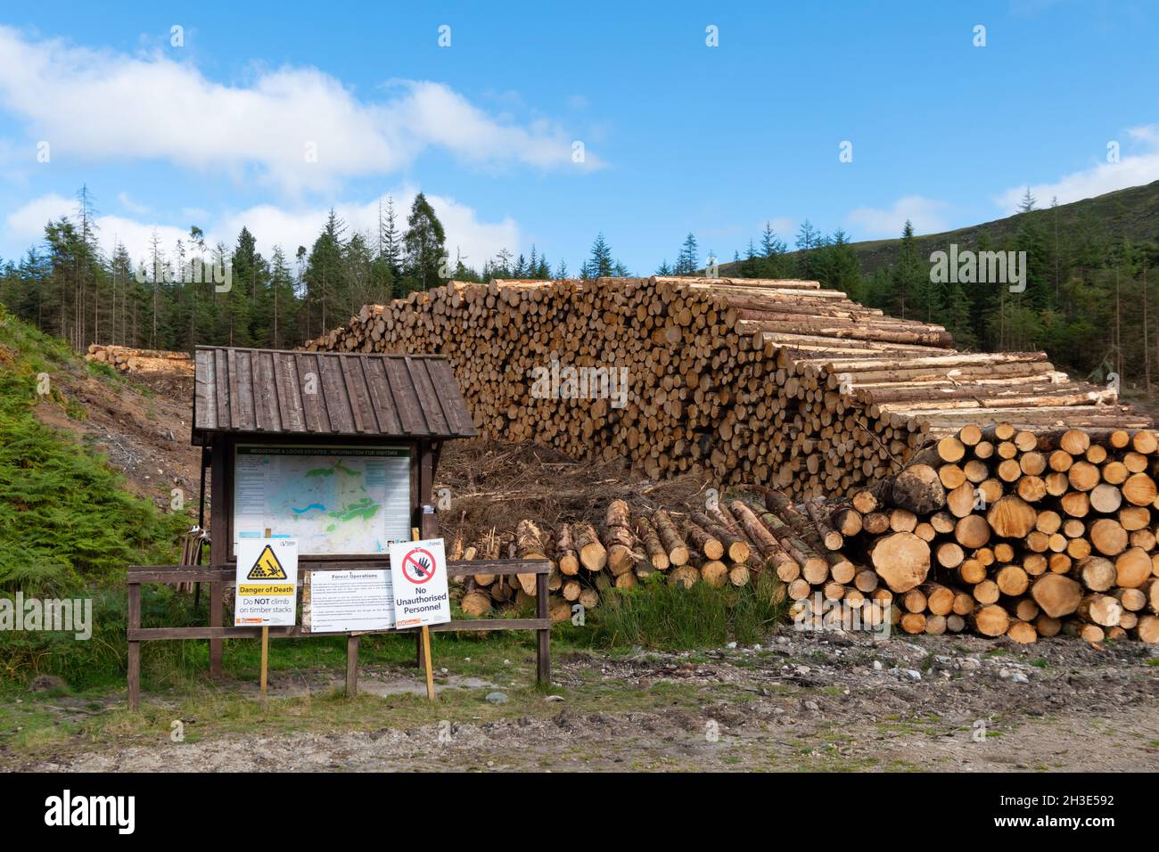 Timber stack, Meggernie and Lochs Estates, Glen Lyon, Aberfeldy, Scotland, UK Stock Photo