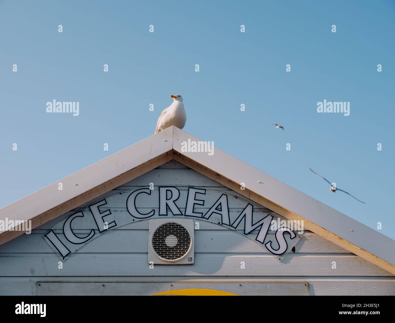 A seagull perched on top of an ice cream shack roof with blue sky at the British seaside - seaside summer - summertime ice cream Stock Photo