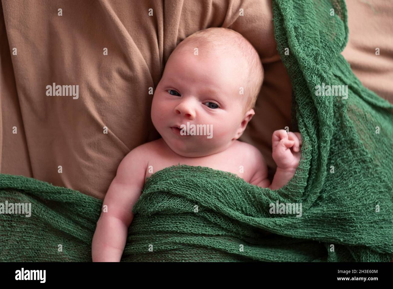 Baby boy posing for his first portrait Stock Photo