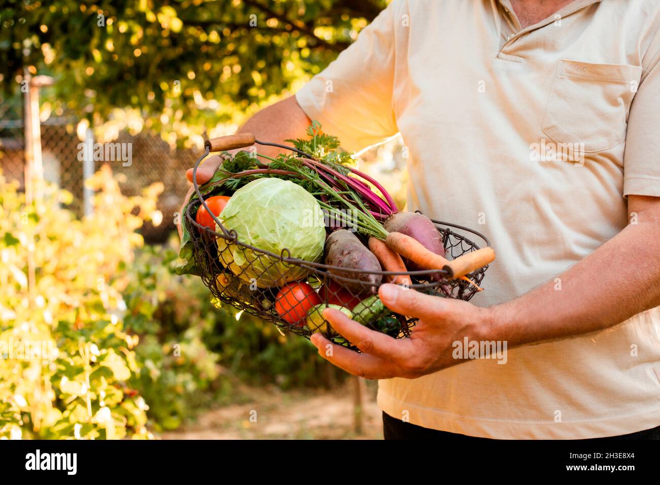 Elderly man holds in his hands a basket with fresh vegetables. He ...